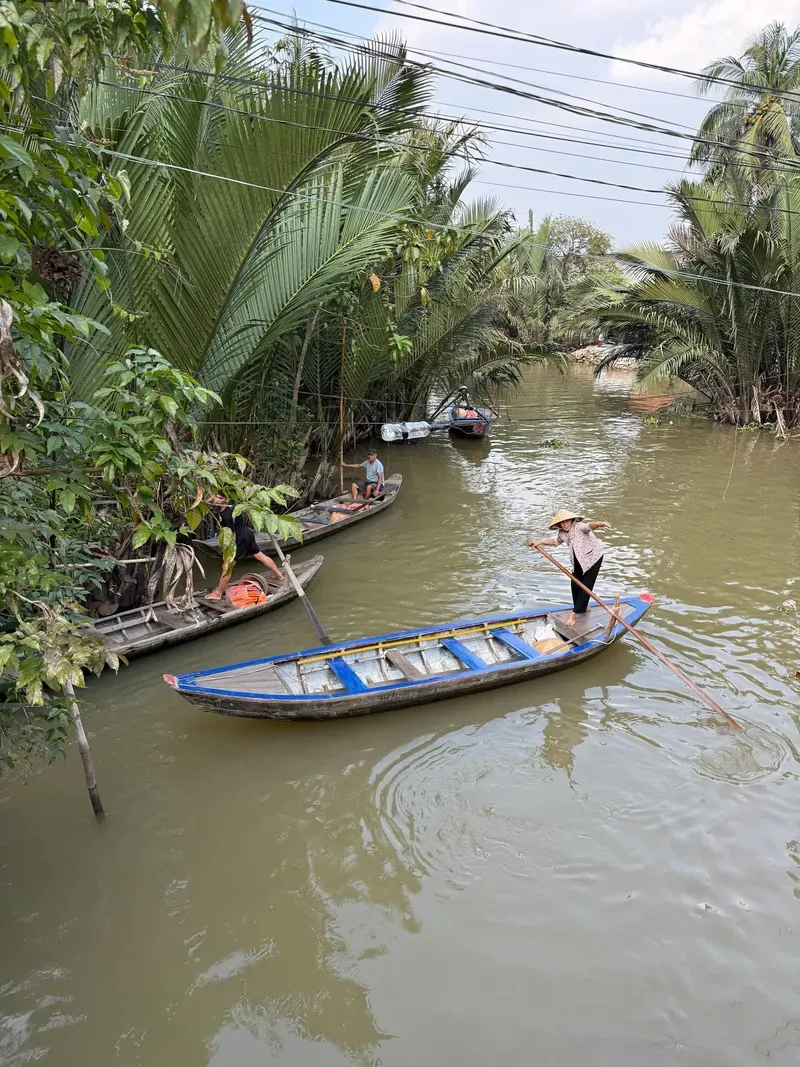 Mekong Delta view 1