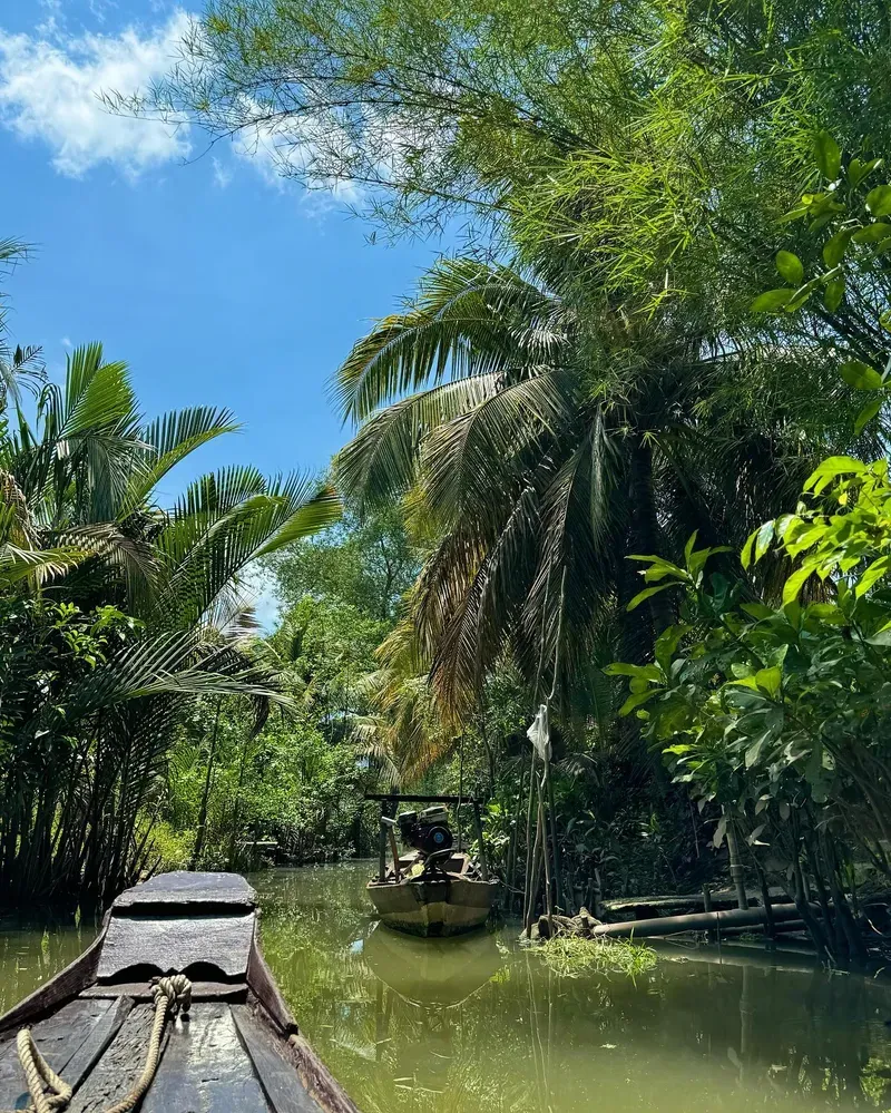 Mekong Delta view 4